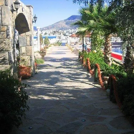 Club Bozok 3* Gümbet