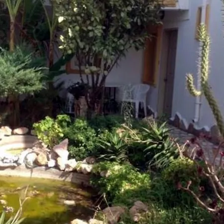 Club Bozok Hotel apartamentowy Gumbet
